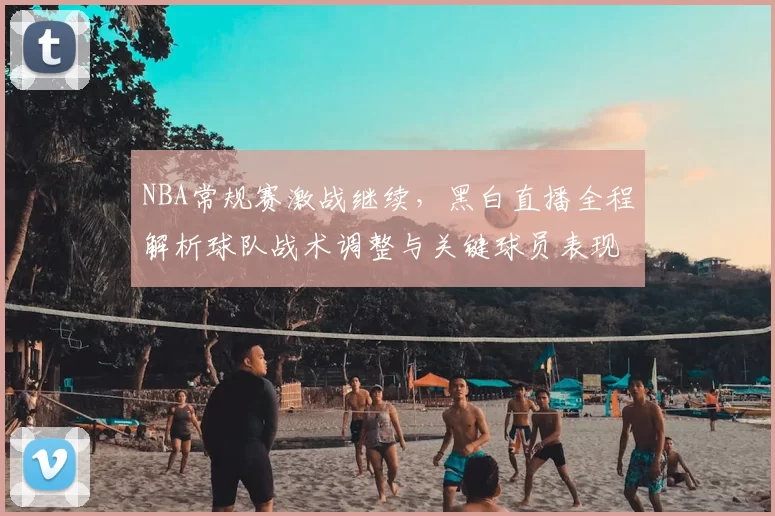 NBA常规赛激战继续，黑白直播全程解析球队战术调整与关键球员表现