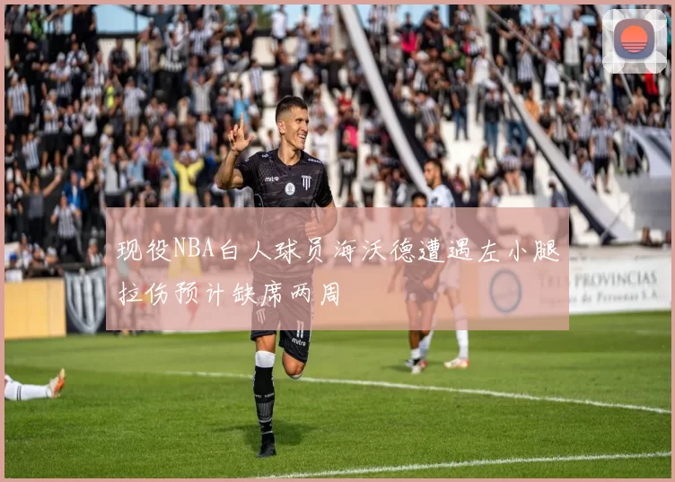 现役NBA白人球员海沃德遭遇左小腿拉伤预计缺席两周