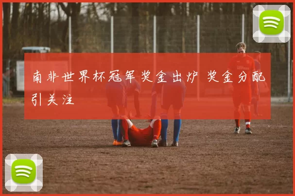 南非世界杯冠军奖金出炉 奖金分配引关注