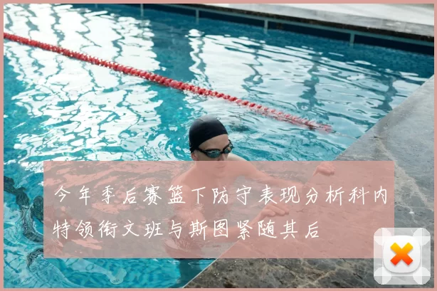 今年季后赛篮下防守表现分析科内特领衔文班与斯图紧随其后
