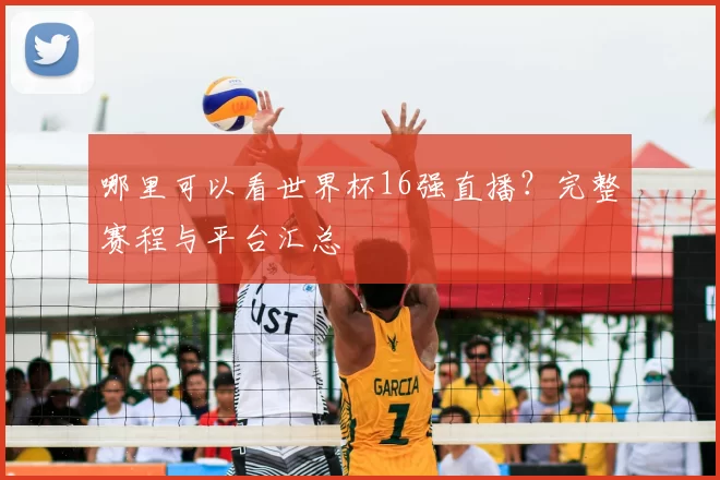 哪里可以看世界杯16强直播?完整赛程与平台汇总