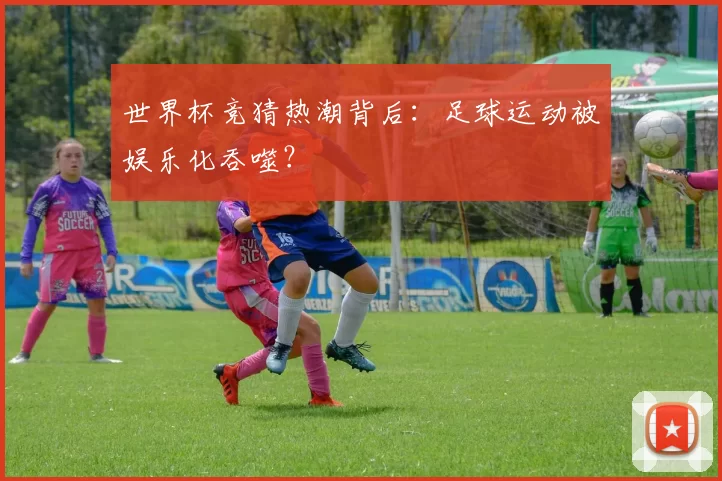 世界杯竞猜热潮背后：足球运动被娱乐化吞噬？