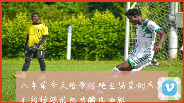 八年前今天哈登惊艳全场晃倒韦斯利约翰逊的经典瞬间回顾