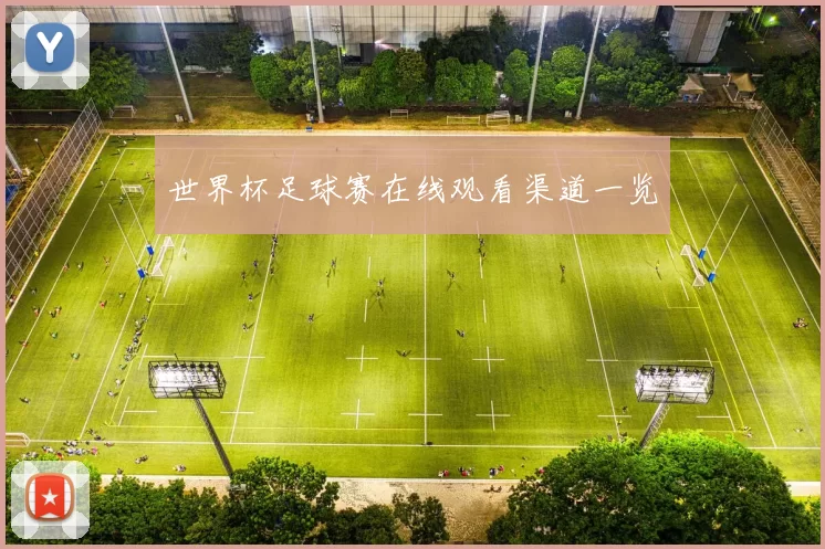 世界杯足球赛在线观看渠道一览