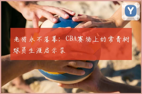 老将永不落幕：CBA赛场上的常青树球员生涯启示录