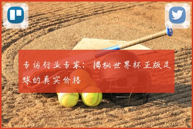 专访行业专家：揭秘世界杯正版足球的真实价格