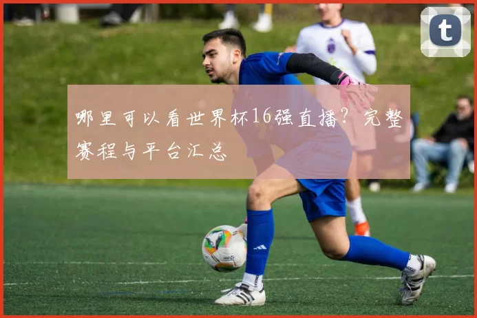 哪里可以看世界杯16强直播?完整赛程与平台汇总
