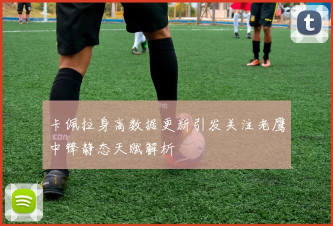 卡佩拉身高数据更新引发关注老鹰中锋静态天赋解析