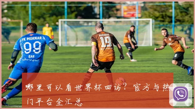 哪里可以看世界杯回访？官方与热门平台全汇总