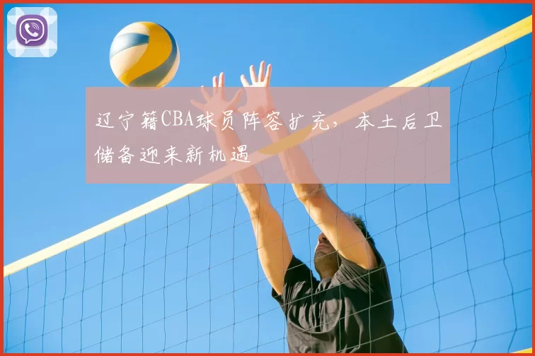 辽宁籍CBA球员阵容扩充，本土后卫储备迎来新机遇