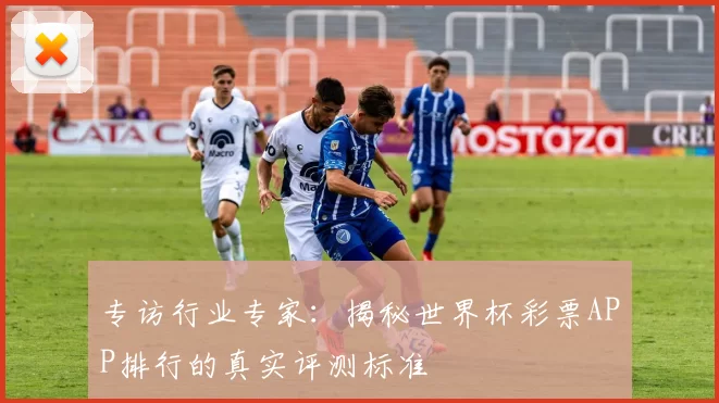 专访行业专家：揭秘世界杯彩票APP排行的真实评测标准