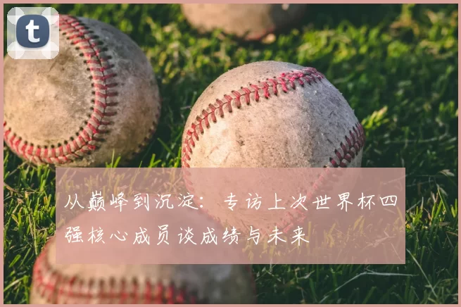 从巅峰到沉淀：专访上次世界杯四强核心成员谈成绩与未来