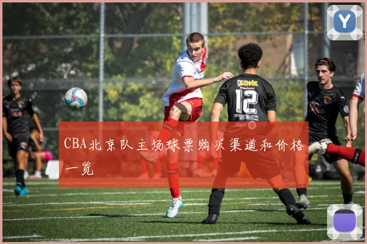 CBA北京队主场球票购买渠道和价格一览