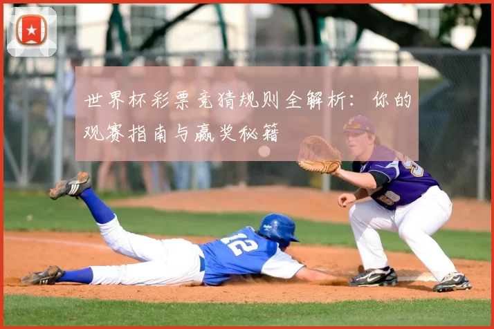 世界杯彩票竞猜规则全解析：你的观赛指南与赢奖秘籍